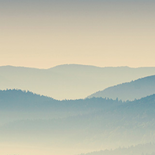 轰炸电话在线使用