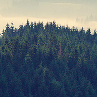 无缝数据迁移的手机号码轰炸app免费